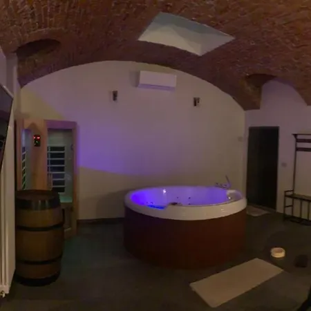 Con Vasca Jacuzzi E Sauna In Piazza Statuto With Ac 公寓